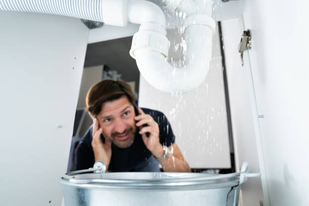 Best Sprinkler Systems  in Homer, AK