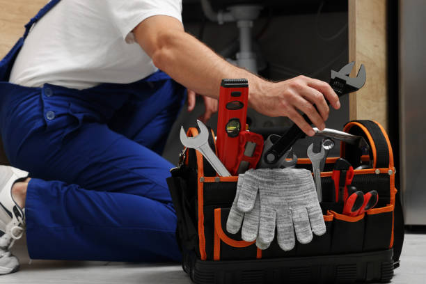 Best Clogged Drain Plumber  in Homer, AK